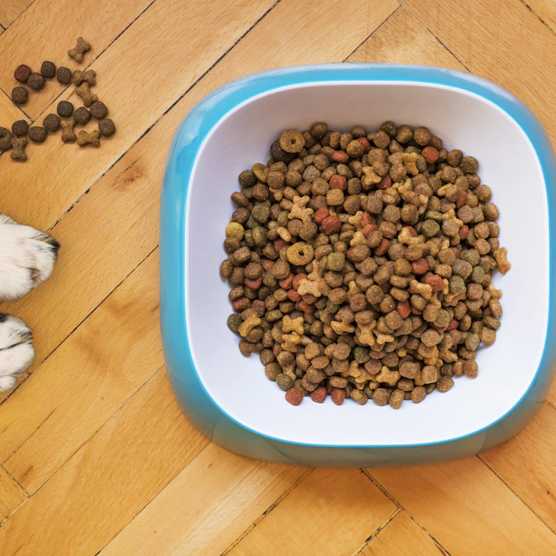 Natural Chicken Dog Treats 16 oz β Pet Supplies at Peasley Store